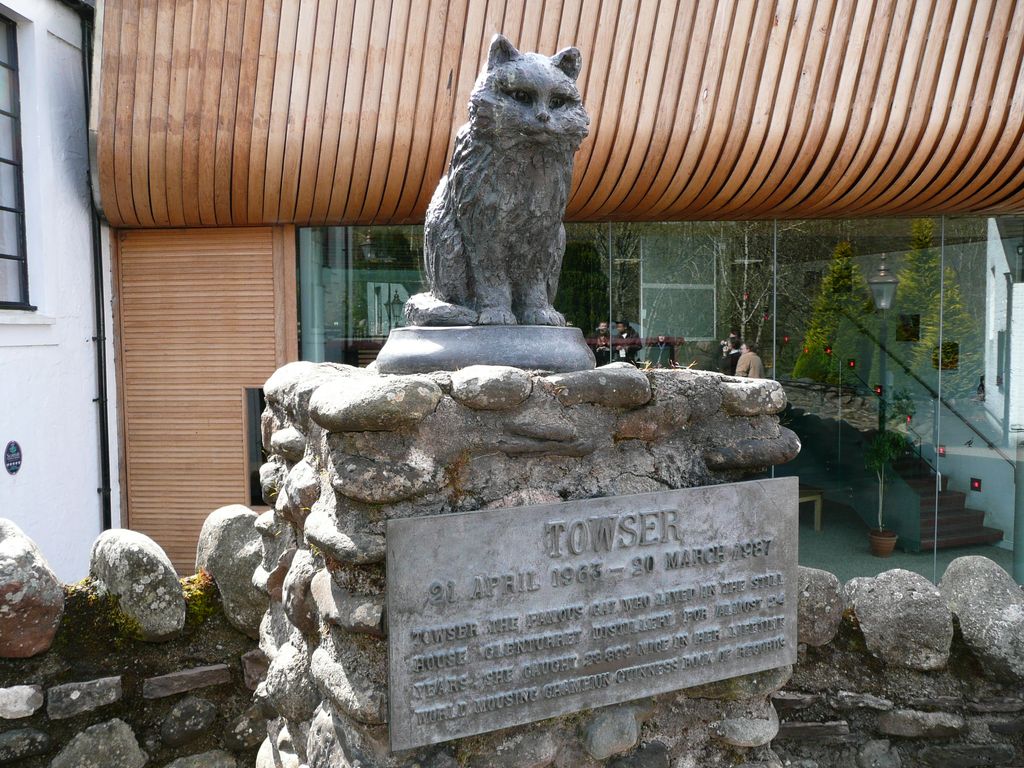 Distillery (6)